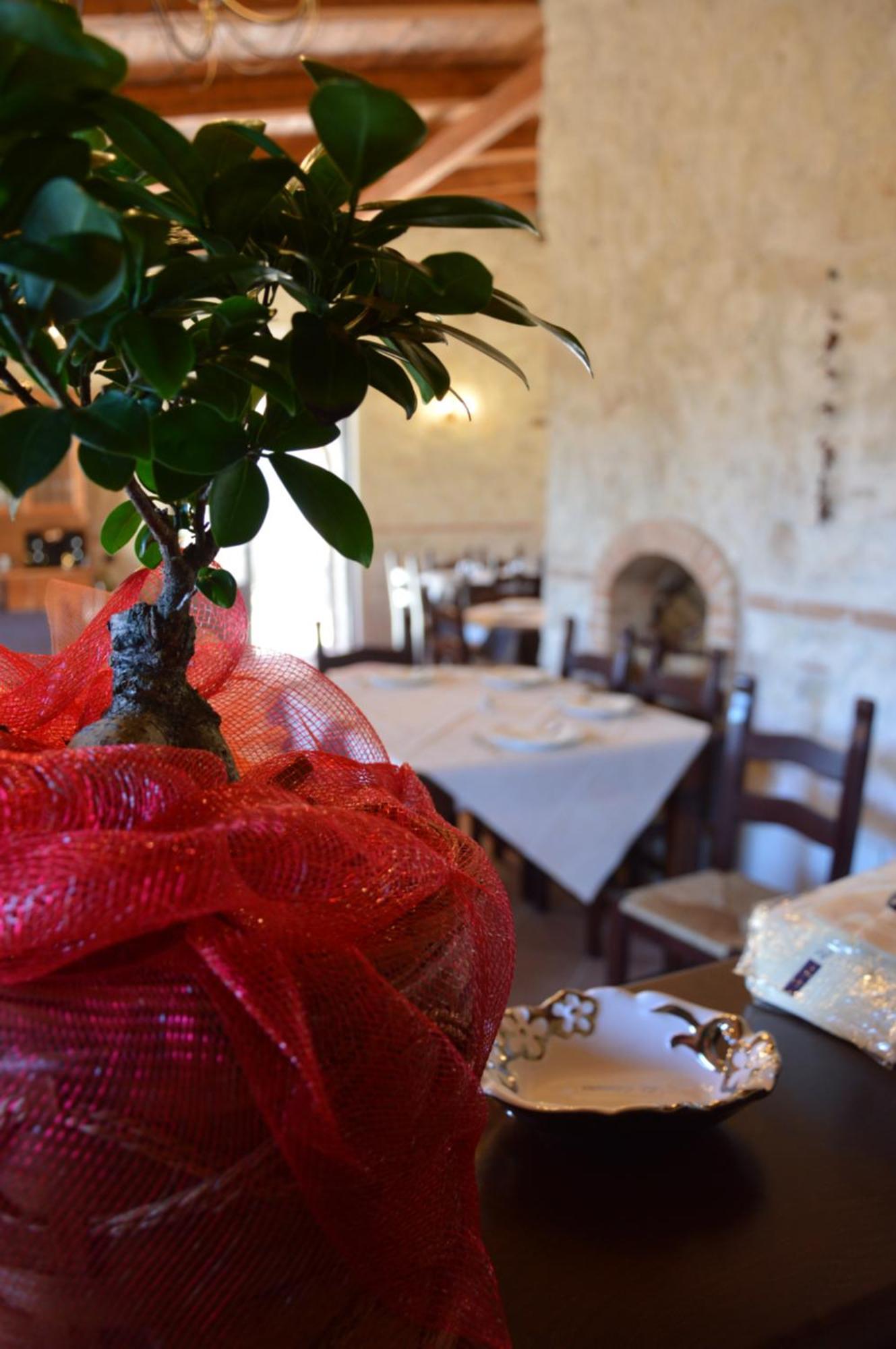 Borgo Carida - Green Family Holidays Zaccanopoli Zewnętrze zdjęcie