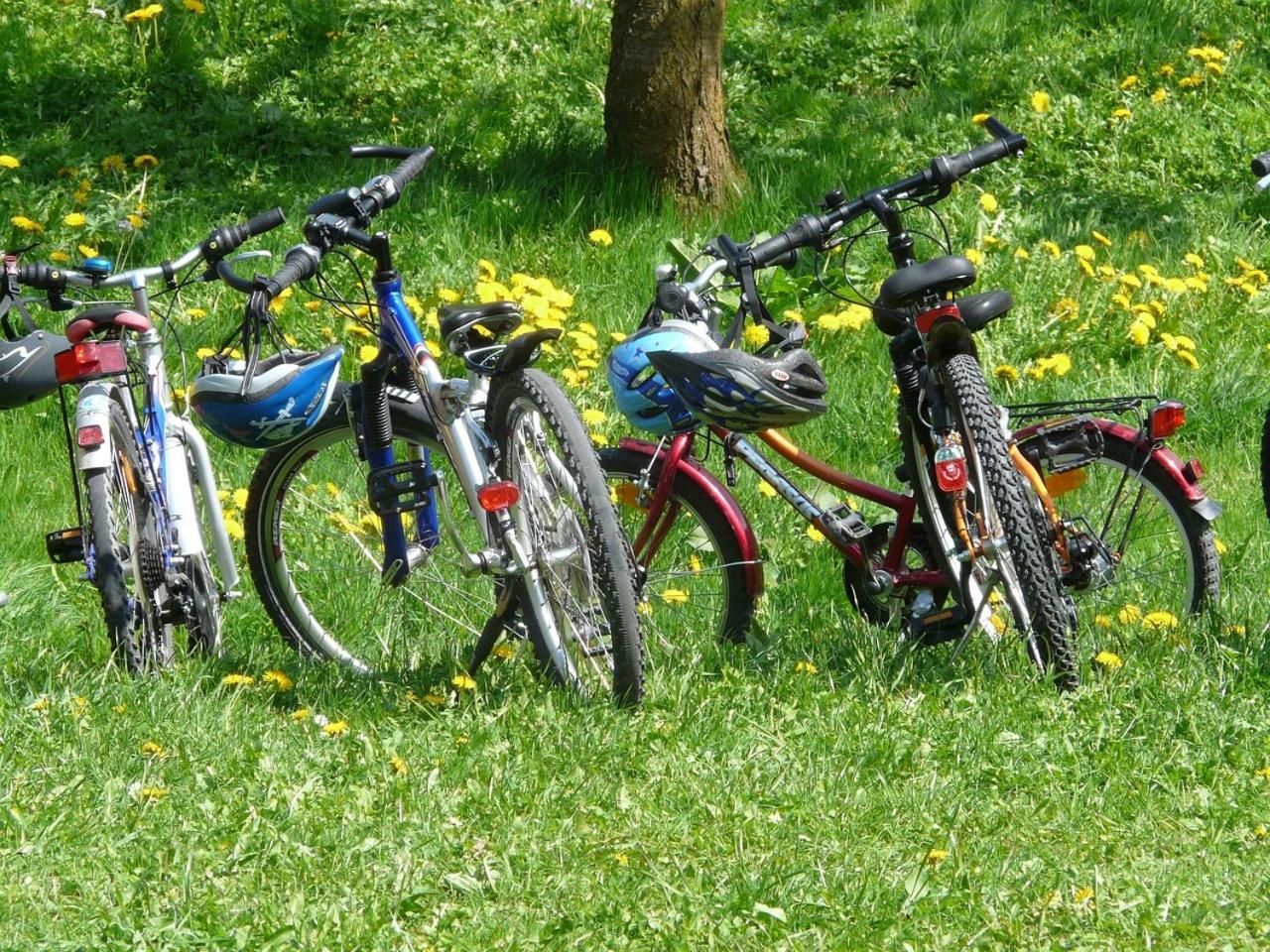 Borgo Carida - Green Family Holidays Zaccanopoli Zewnętrze zdjęcie